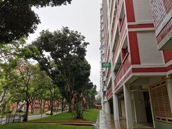 Blk 490B Tampines Street 45 (Tampines), HDB 5 Rooms #620324881